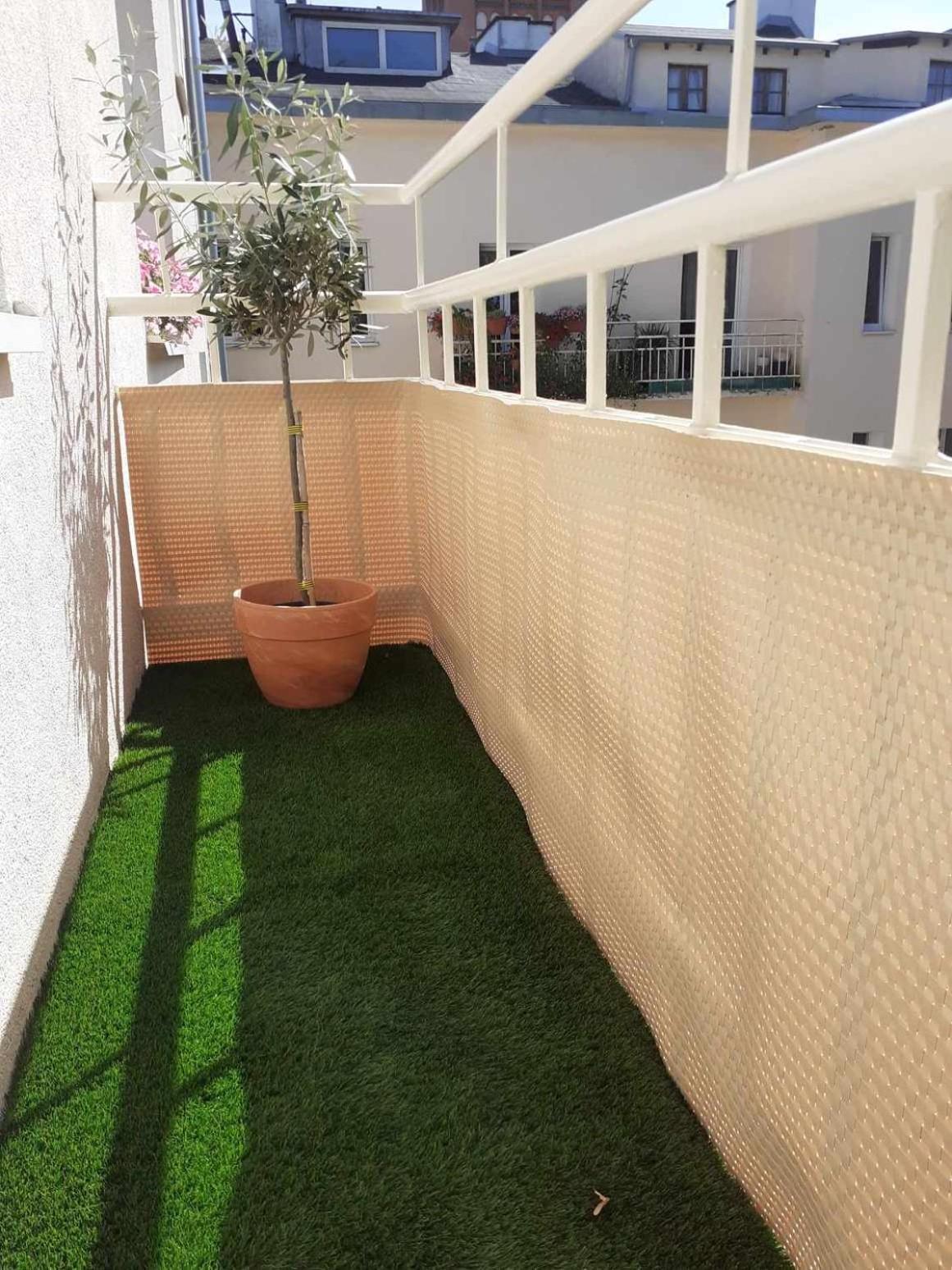 Apartament Mickiewicza *