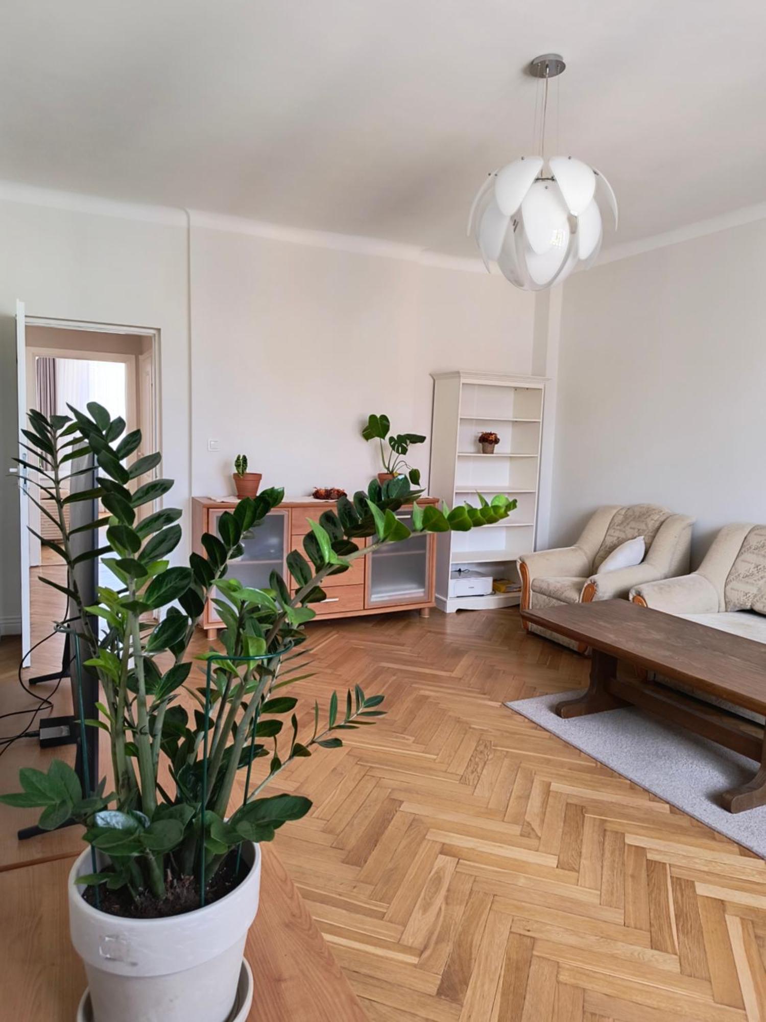 Apartament Mickiewicza Olsztyn (Warmian-Masurian)